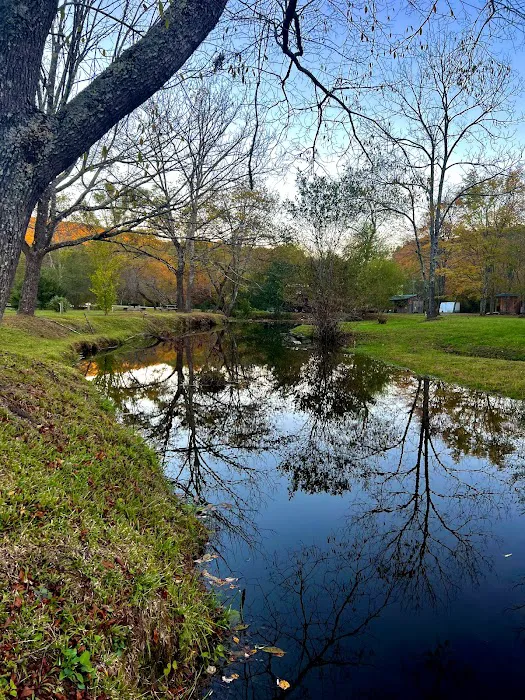 Persimmon Creek RV Park Picture 4