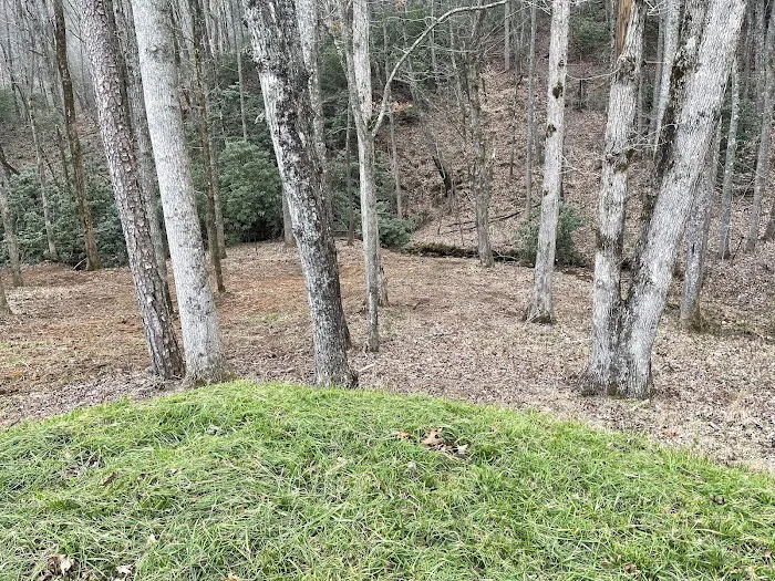 Foxfire of Murphy RV Park Picture 4