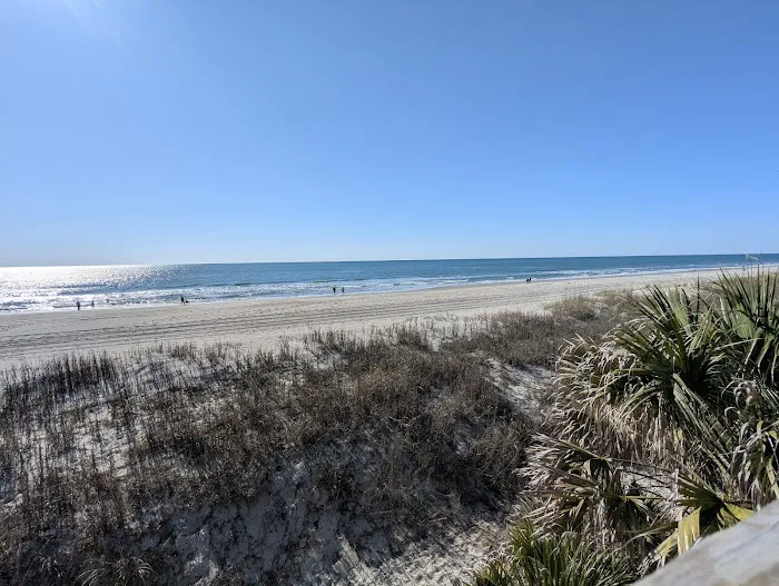 Ocean lake Picture 4