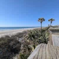 Ocean lake ico
