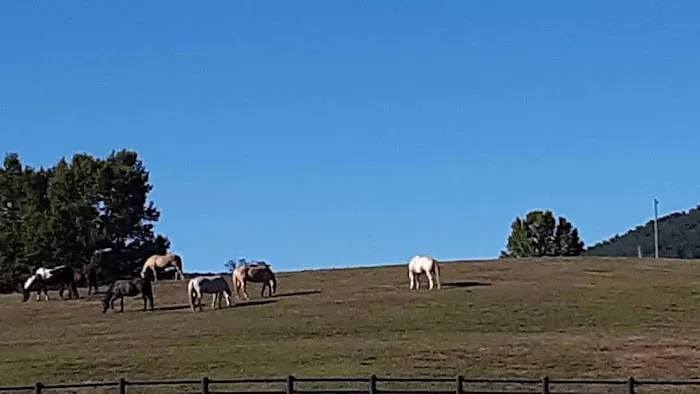 R-Ranch In the Mountains Picture 3
