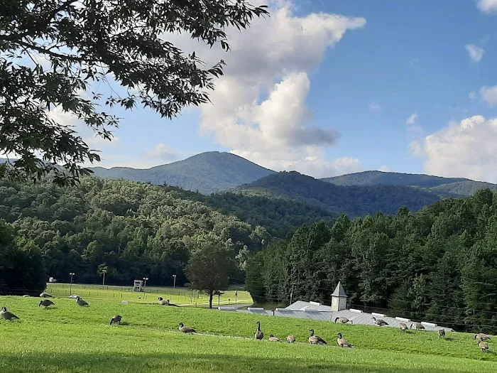 R-Ranch In the Mountains Picture 5
