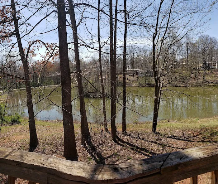 Mossy Acres Picture 2