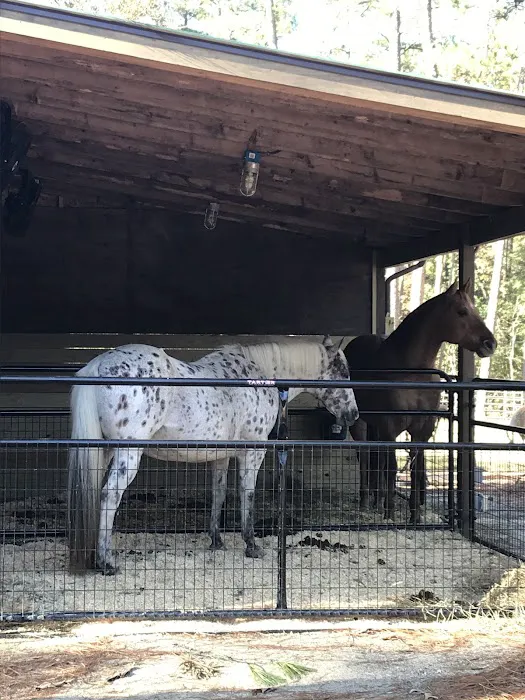 Daily Walk Stables CAMPGROUND Picture 7