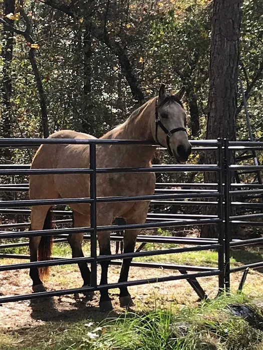 Daily Walk Stables CAMPGROUND Picture 2