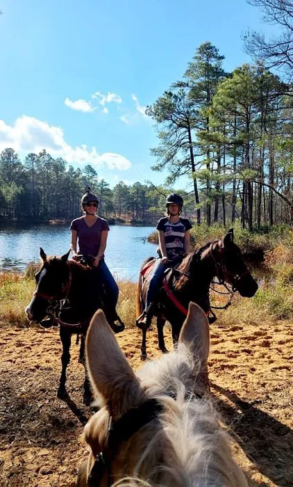 Daily Walk Stables CAMPGROUND Picture 6