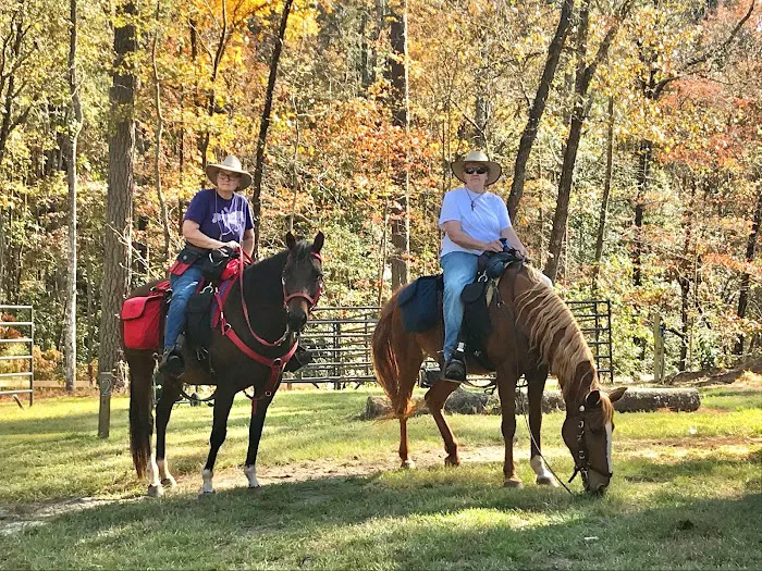 Daily Walk Stables CAMPGROUND Picture 10