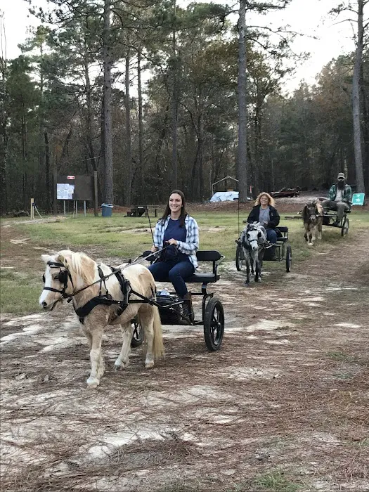 Daily Walk Stables CAMPGROUND Picture 8