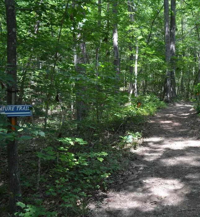 Bell Acres Resort Picture 10