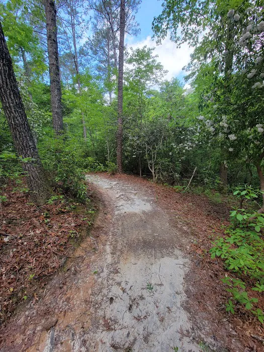 Raven Rock State Park Campground Picture 10