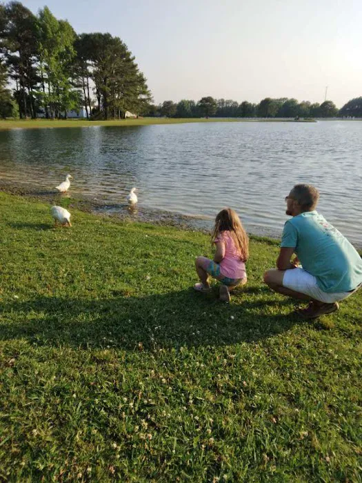 North Pointe RV Resort Picture 4