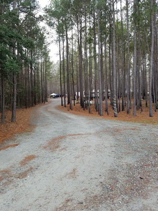 Farm Pond Campground Picture 8