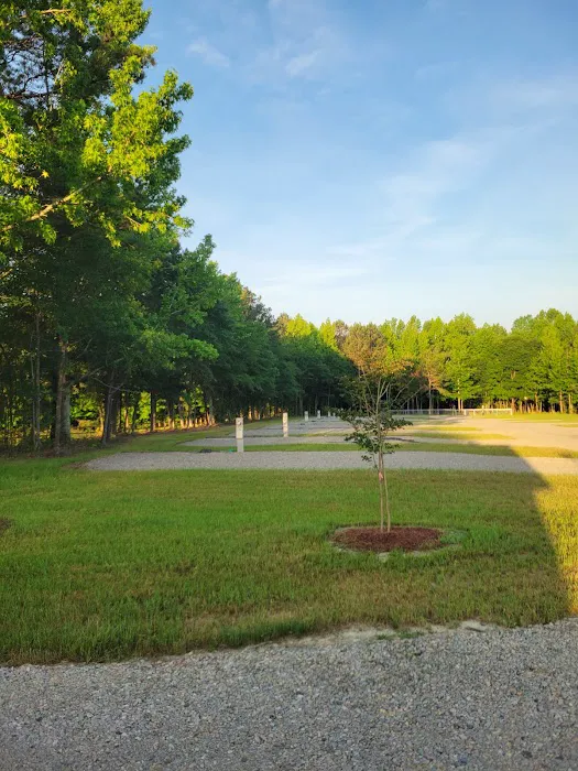Herds Creek Campground Picture 2