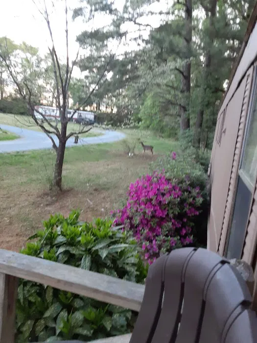 Country Squire Mobile Estates Picture 5