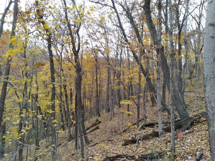 Red Dog Ridge Campground Picture 6