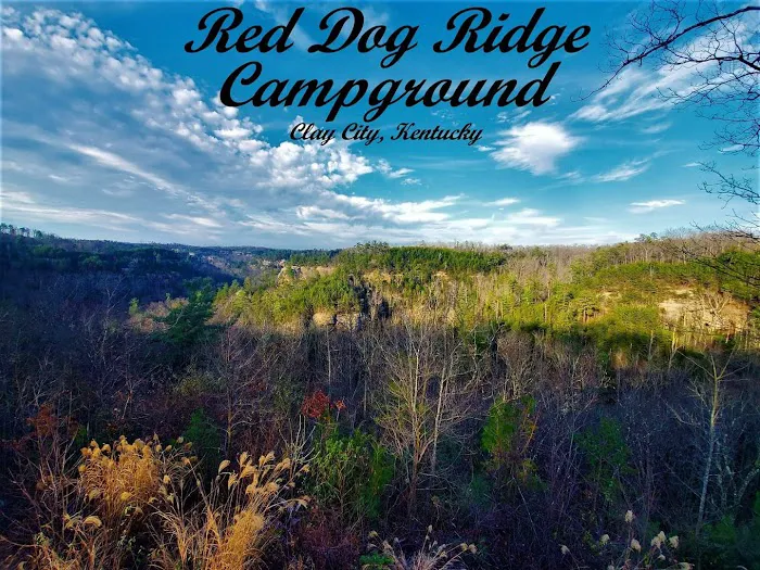 Red Dog Ridge Campground Picture 3