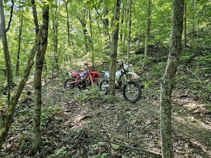 The Holler Picture 2
