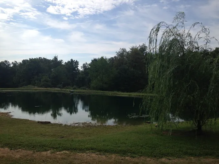 Harris Hill Campground Picture 1