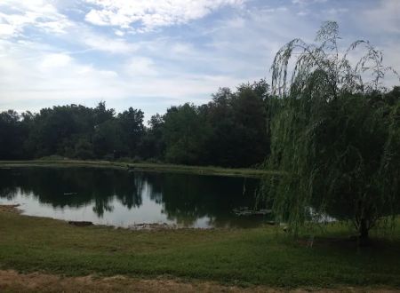 Harris Hill Campground