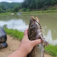 Strong's Pay Lake, Campgrounds, & Driving Range ico