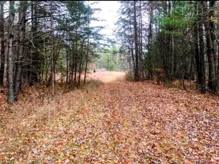 Serene Haven Retreat Campground Picture 5