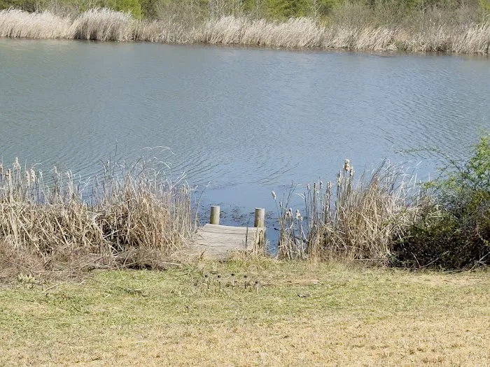 Serene Haven Retreat Campground Picture 2