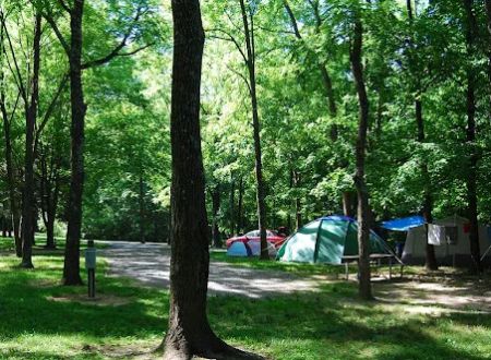 Miami Whitewater Forest Campground