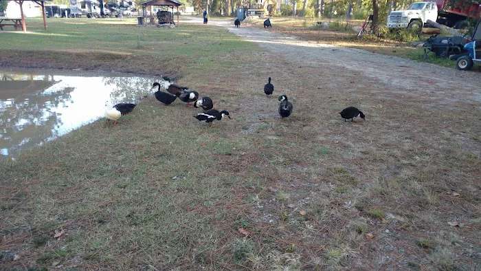 Kamper's Lodge Campground Picture 3
