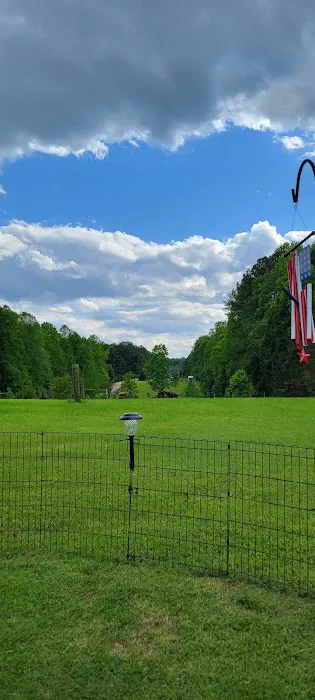 Rons RV Campground Picture 4