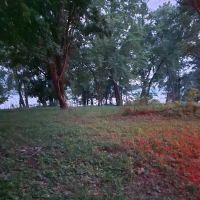 Indian Creek Landing Campground ico