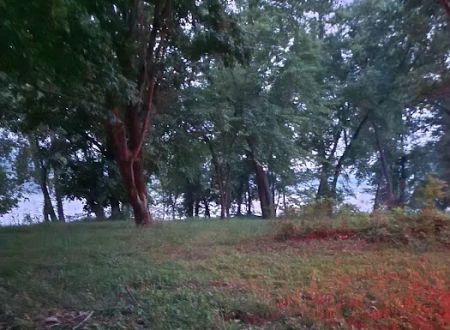 Indian Creek Landing Campground