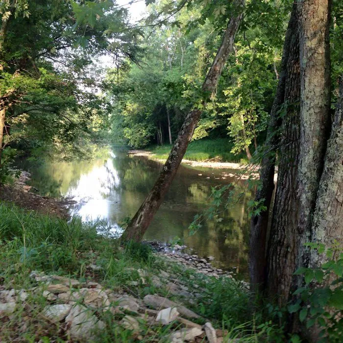 Hudsons Old Mill Campground and Flea Market Picture 10