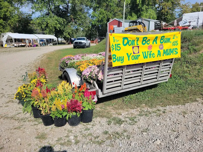 Hudsons Old Mill Campground and Flea Market Picture 1