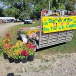 Hudsons Old Mill Campground and Flea Market