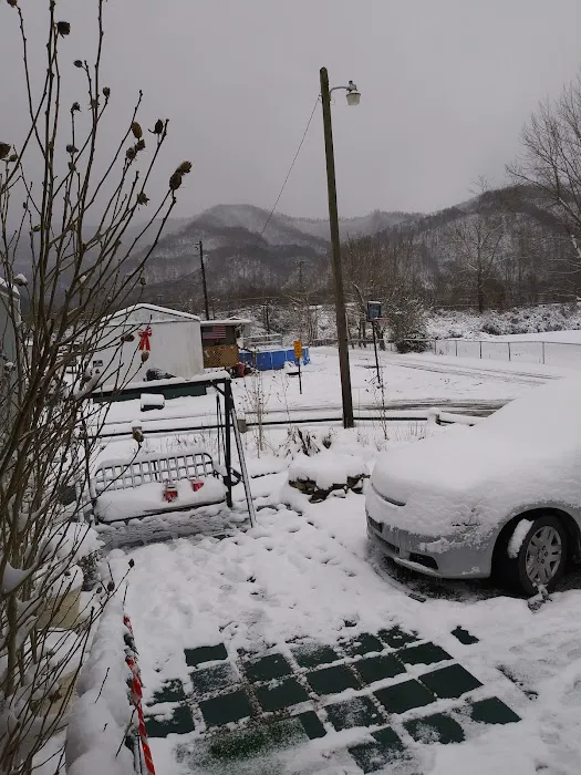 Holiday Acres Trailer Park Picture 3