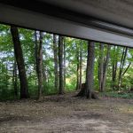 Portage Lake Campground, Waterloo Recreation Area