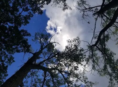 Vining Campground