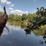 Southlake RV Park Knoxville