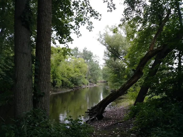 Robinhood of Sherwood Forest Picture 6