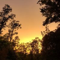 Black Oak Mobile Home-RV Park ico