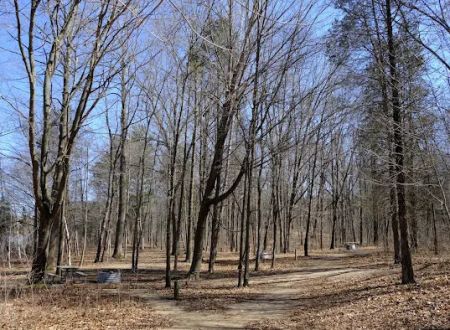 Blind Lake Campground