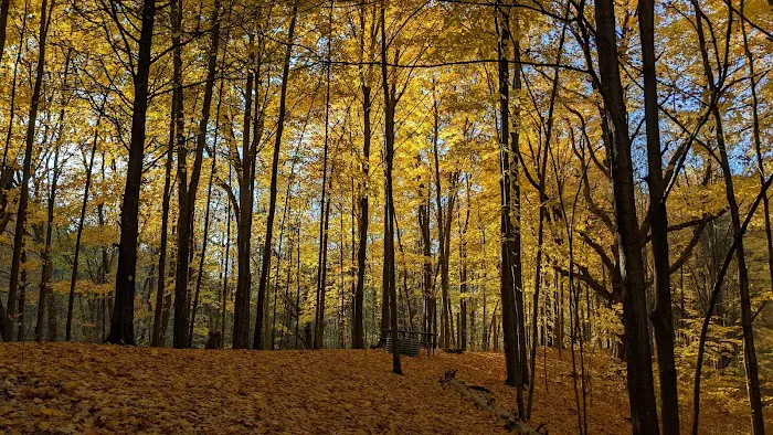 Blind Lake Campground Picture 8