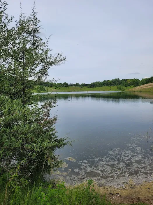 Sand Lake Campground Picture 3