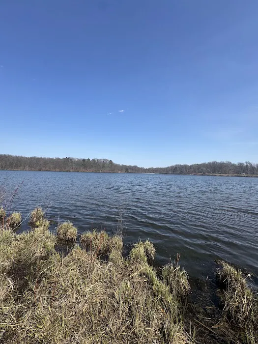 Holly Recreation Area Organizational Campground Picture 4