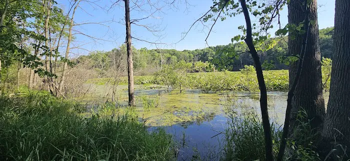 Holly McGinnis Lake Campground Picture 5