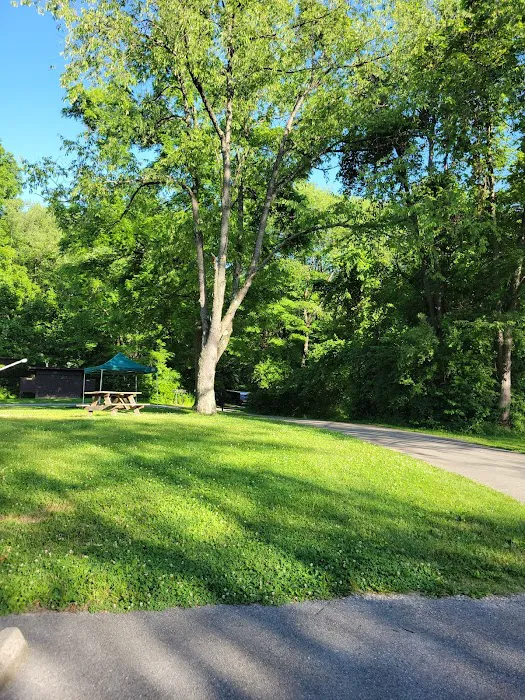 Campsite 530 Picture 5