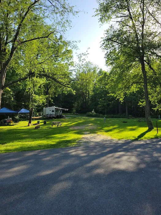 Campsite 530 Picture 3