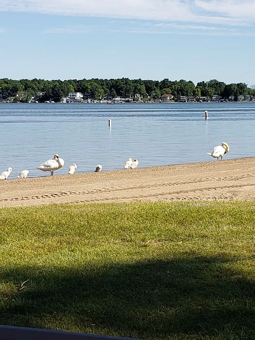 Public Beach And Playground Picture 8