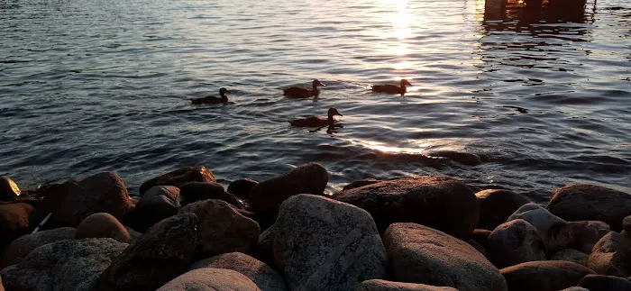 Public Beach And Playground Picture 7