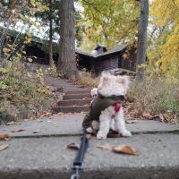 Pokagon State Park campground gatehouse ico